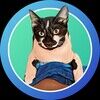 kitcat93apr20